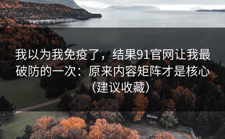我以为我免疫了，结果91官网让我最破防的一次：原来内容矩阵才是核心（建议收藏）