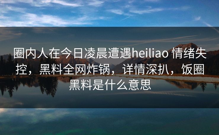 圈内人在今日凌晨遭遇heiliao 情绪失控，黑料全网炸锅，详情深扒，饭圈黑料是什么意思